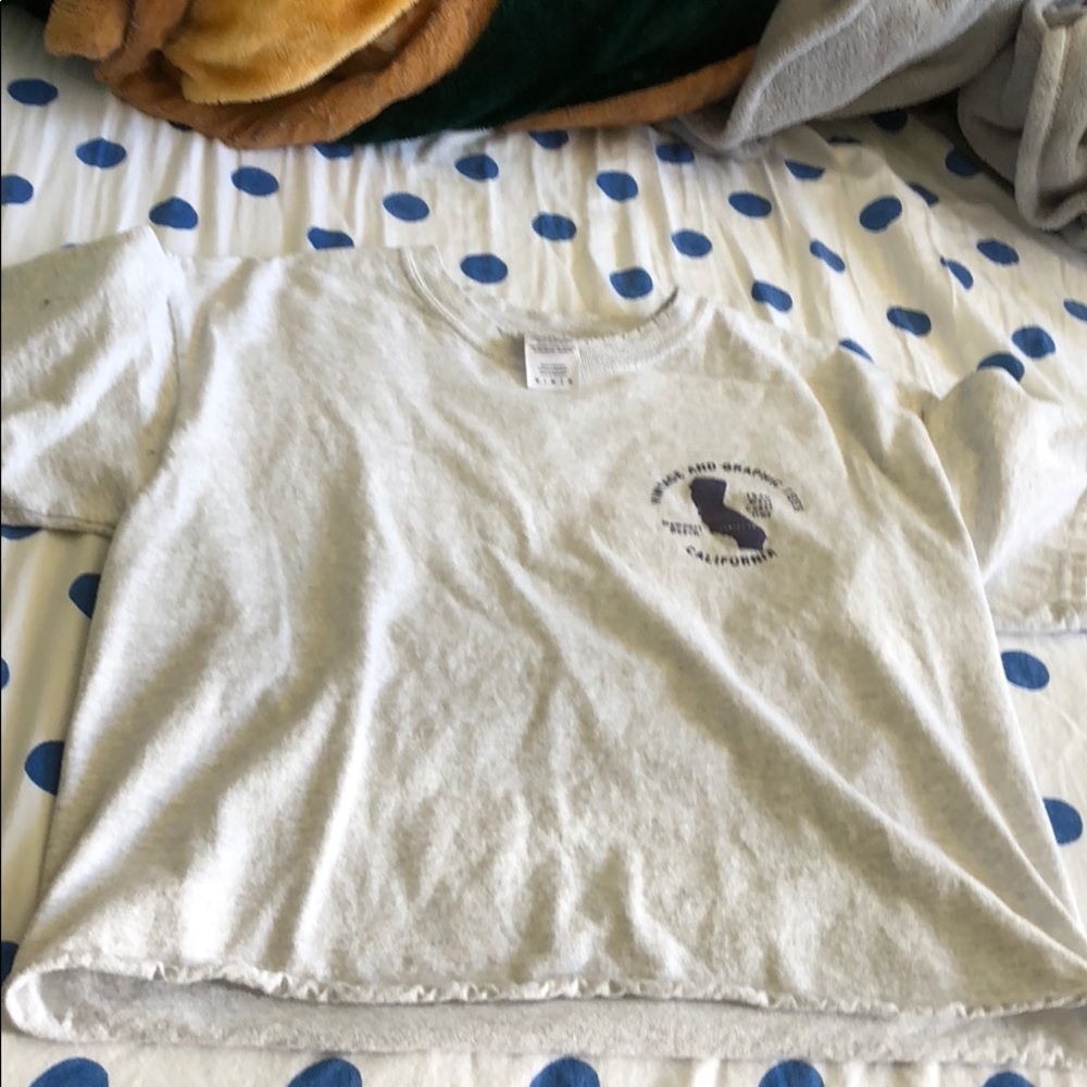 Brandy Melville vintage crop tee